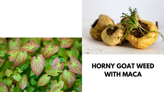 Horny Goat Weed with Maca