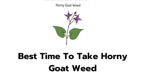 Best Time To Take Horny Goat Weed